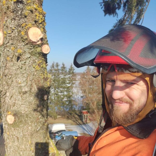 puupatrull-arborist,puude langetamine ja lõikamine (27) puupatrull-arborist,puude langetamine ja lõikamine (27)
